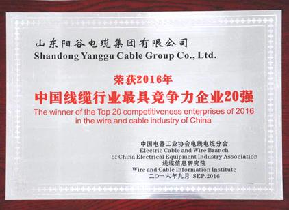 开云官方入口